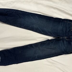 American Eagle Outfitters Blue Skinny Jeans Classic Style